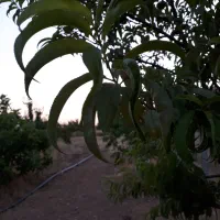 فروش زمین ۵۰۰ متر تجاری