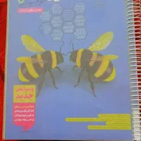 علوم خیلی سبز تیزهوشان