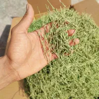 یونجه/علوفه|لوازم جانبی حیوانات|تهران, علم و صنعت|دیوار