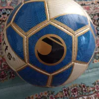 توپ سالنی