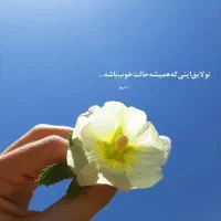 راهنمایی گل گیاه رایگان
