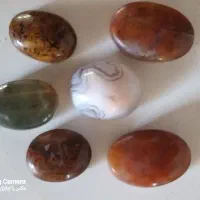 شجر پایزه|جواهرات|قائن, |دیوار