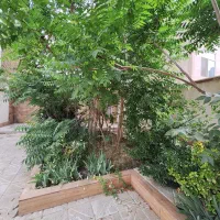 هفت-تیر-فکوری-270-متر-ویلایی-دربست-با-160-متر-بنا