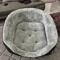 کریر حمل پت