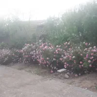 لطفا راهنمایی کنید