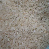 برنج کامفیروزی