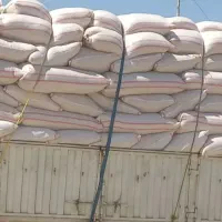 کاه کردستان عمده ای