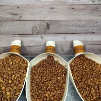 قهوه آراکو(فروش به صورت کلی و جزئی)