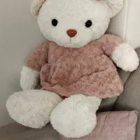 عروسک پولیشی