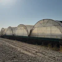 اجاره گلخانه