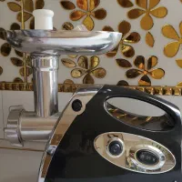 چرخ گوشت گاسونیک