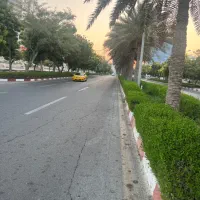 گمشده