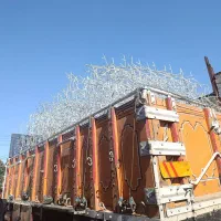 حفاظ شاخ گوزنی،حفاظ بوته خاری، حفاظ روی دیوار