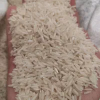 برنج طارم محلی|خوردنی و آشامیدنی|کوهدشت, |دیوار