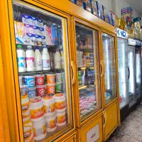 یخچال شیش درب