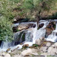 تور یکروز باغملک روستای مالاقا|تور و چارتر|اهواز, مهرشهر|دیوار