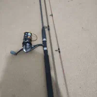 لنسر ماهیگیری