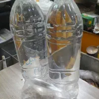 پکیج اختصاصی اندام عضله ای