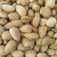 بادام آذر