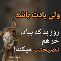 گمشده