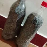 بذر|گل و گیاه طبیعی|کوهدشت, |دیوار