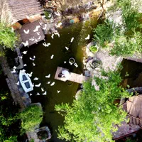 صحافی البوم ایتالیای .عروس داماد.فیلمبرداری مجالس|خدمات پذیرایی، مراسم|اصفهان, لاله|دیوار