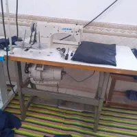 یک عدد چرخ راسته جک