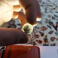 سنگ انگشترشجر|جواهرات|تویسرکان, |دیوار