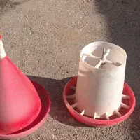 دانخوری واب خوری