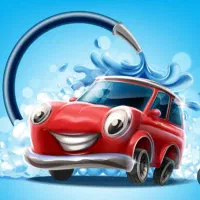 نیروی حرفه‌ای کارواش