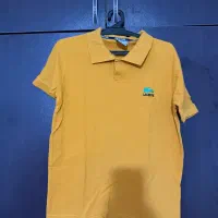 بافت یقه 7 و تی شرت لاگوست|لباس|شیراز, سیلو|دیوار