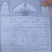 سند اجاره‌ای بابت ضمانت