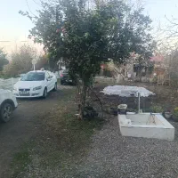 باپول-دنا-زمین-سنددار-با-پروانه-ساخت-وسط-ماسال-بخر