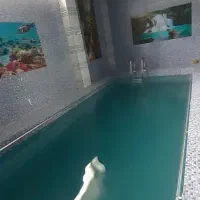 رهن ویلای فرنیش استخردار ۴ خوابه نوشهر|اجارهٔ خانه و ویلا|نوشهر, |دیوار