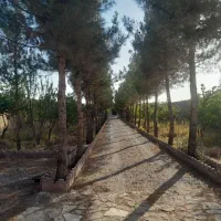 اجاره باغ ویلااستخردار، 2000 متری، مبله، دوخواب|اجارهٔ کوتاه‌مدت ویلا و باغ|شاندیز, |دیوار