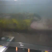 تلوزیون ۳۲ اینچه سالم