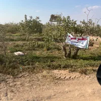 فروش ۱۲۰۰ قصب زمین مشجره پسته ممتاز واقع در زرند