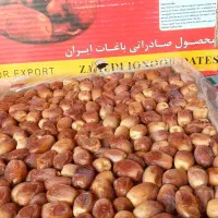 خرمارطب طوبی|خوردنی و آشامیدنی|مشهد, شهرک مهر آباد|دیوار