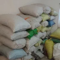 گردو خشک امسالی