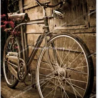 چرخ حراج شد بیا این ور بازار