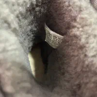 کفش|کیف، کفش، کمربند|تربت جام, شهید غلام زاده|دیوار