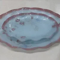 ظروف پذیرایی