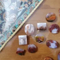 شجر|بدلیجات|یزد, |دیوار