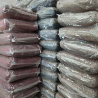 پشتی شاه نشین ترمه افشار|پشتی|قم, نیروگاه|دیوار