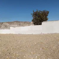 گاوداری قابلیت جذب وام میلیاردی