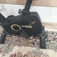 دوچرخه ثابت