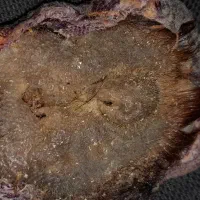 مهره اصل هفتخال بشرط کارشناس