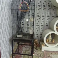 قفس|لوازم جانبی حیوانات|سبزوار, شرق کال جنوبی (شمس آبادی)|دیوار