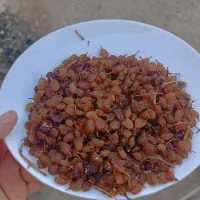 کشمش آفتابی 350