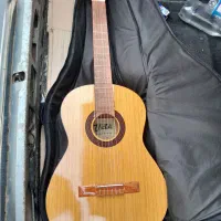 گیتار ویکتور پرومکس